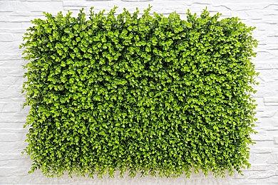 韩版《InZOI》争议内容曝光！官方在线回应游戏“在线造娃”系统！